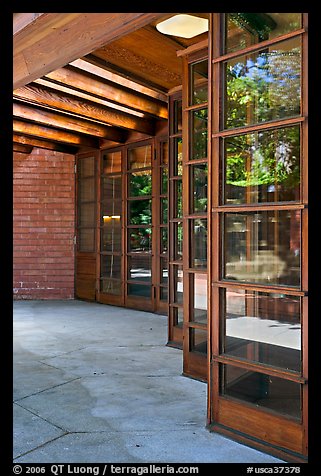 Windows arranged in hexagonal pattern, Hanna House. Stanford University, California, USA (color)