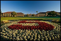 Stanford University S logo in flowers and main Quad. Stanford University, California, USA (color)