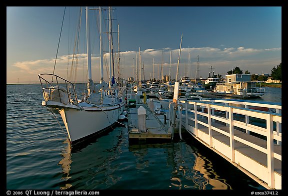 Yachts in Port of Redwood, late afternoon. Redwood City,  California, USA