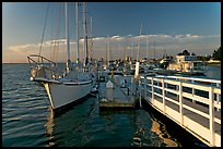 Yachts in Port of Redwood, late afternoon. Redwood City,  California, USA