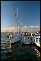 Yacht in Port of Redwood, late afternoon. Redwood City,  California, USA (color)