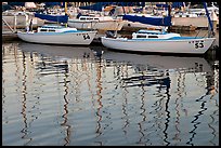 Marina reflections. Redwood City,  California, USA