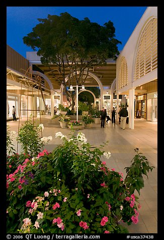 Vegetation and stores in main alley of Stanford Mall at night. Stanford University, California, USA