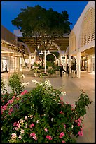 Vegetation and stores in main alley of Stanford Mall at night. Stanford University, California, USA