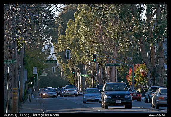El Camino Real bordered by Eucalyptus trees. Burlingame,  California, USA (color)