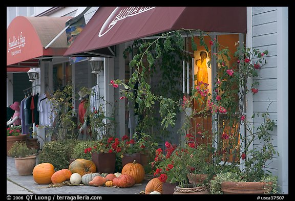 Storefronts decorated with large pumpkins. Half Moon Bay, California, USA