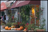 Storefronts decorated with large pumpkins. Half Moon Bay, California, USA (color)