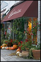 Art gallery decorated with large pumpkins. Half Moon Bay, California, USA (color)