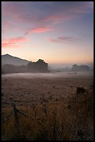 Pasture with fog at sunset. San Mateo County, California, USA