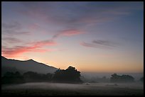 Foggy pasture at sunset near La Honda Road. San Mateo County, California, USA