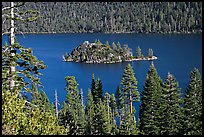 Forested slopes and Fannette Island, Emerald Bay, California. USA (color)