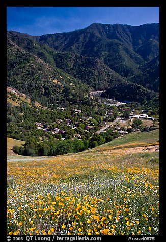 El Portal below fields of wildflowers. El Portal, California, USA