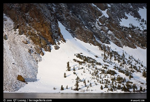 Sunlit Slope with snow, Ellery Lake. California, USA