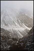 Mountains cut by Tioga Pass road with fresh snow. California, USA (color)