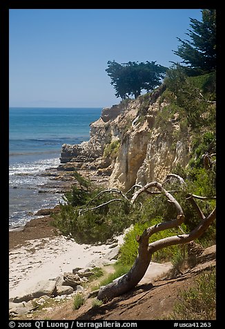Coastal bluff. Santa Barbara, California, USA (color)