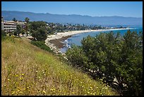 Hillside and waterfront. Santa Barbara, California, USA (color)