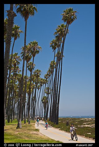 Families riding on beachside pathway. Santa Barbara, California, USA (color)