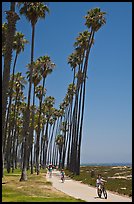 Families riding on beachside pathway. Santa Barbara, California, USA