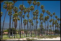 Beachfront and tall palm trees. Santa Barbara, California, USA