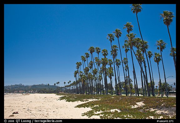 East Beach and palm trees. Santa Barbara, California, USA (color)