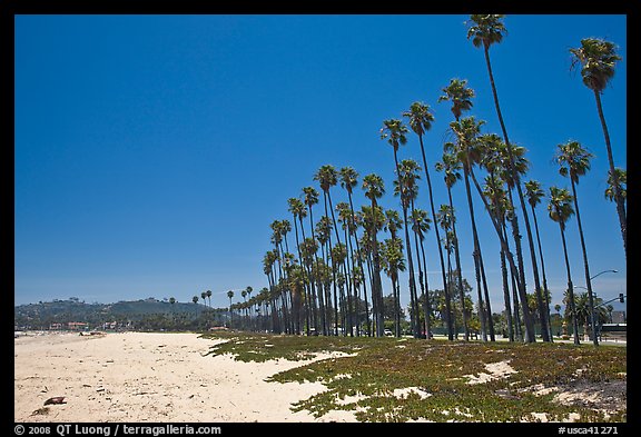 East Beach and palm trees. Santa Barbara, California, USA