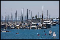 Santa Barbara Harbor. Santa Barbara, California, USA