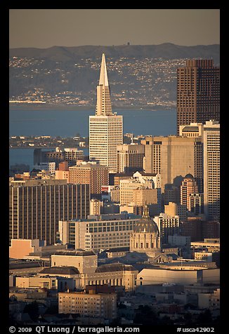 City Hall and Transamerica Pyramid, late afternoon. San Francisco, California, USA (color)