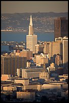 City Hall and Transamerica Pyramid, late afternoon. San Francisco, California, USA (color)