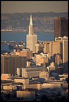 City Hall and Transamerica Pyramid, late afternoon. San Francisco, California, USA