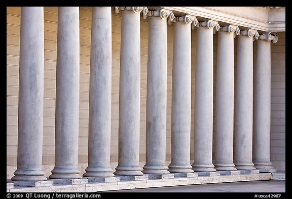 Row of columns, Legion of Honor, early morning, Lincoln Park. San Francisco, California, USA (color)