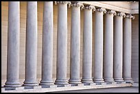 Row of columns, Legion of Honor, early morning, Lincoln Park. San Francisco, California, USA