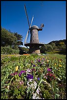 Spring flowers and old windmill, Golden Gate Park. San Francisco, California, USA