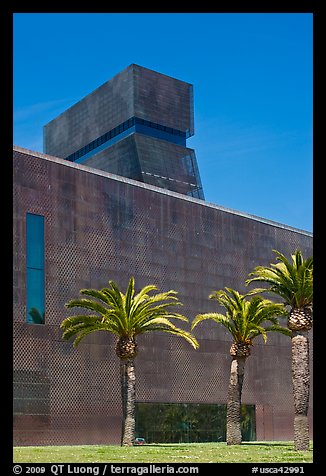 Hamon Tower and M H De Young memorial museum. San Francisco, California, USA