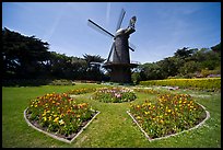 Spring flowers and old Dutch windmill, Golden Gate Park. San Francisco, California, USA ( color)