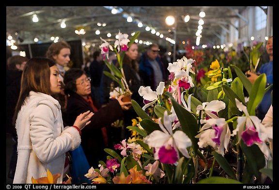 Women look at orchids during festival, Mason Center. San Francisco, California, USA