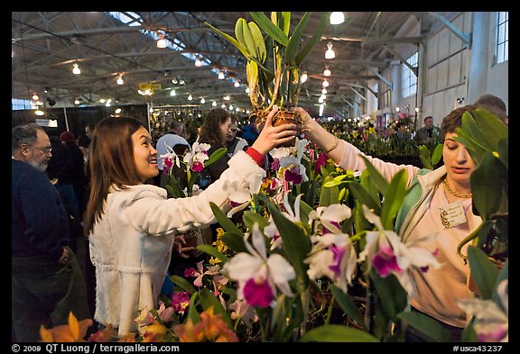 Woman buys orchid plant, Mason Center. San Francisco, California, USA (color)