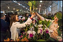 Woman buys orchid plant, Mason Center. San Francisco, California, USA (color)