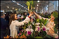 Woman buys orchid plant, Mason Center. San Francisco, California, USA