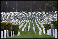 San Francisco National Cemetery, Presidio of San Francisco. San Francisco, California, USA ( color)