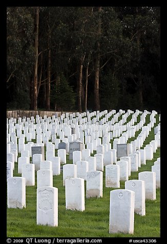 Headstones, San Francisco National Cemetery, Presidio. San Francisco, California, USA