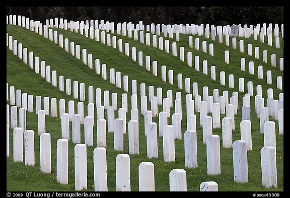 Graves, San Francisco National Cemetery, Presidio. San Francisco, California, USA (color)