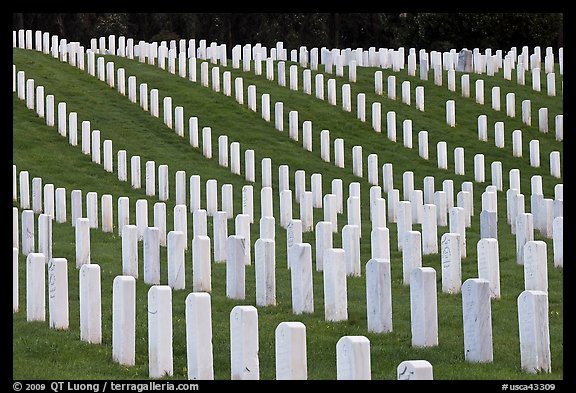 Graves, San Francisco National Cemetery, Presidio. San Francisco, California, USA (color)