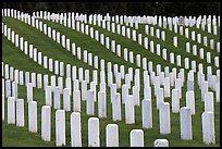 Graves, San Francisco National Cemetery, Presidio. San Francisco, California, USA (color)