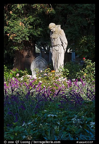 Father Statue and flowers, Mission Dolores garden. San Francisco, California, USA