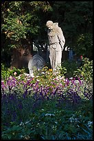Father Statue and flowers, Mission Dolores garden. San Francisco, California, USA