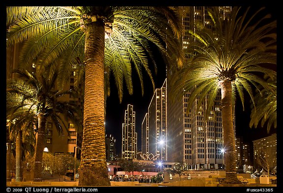 Palm trees and Embarcadero Center at night. San Francisco, California, USA (color)