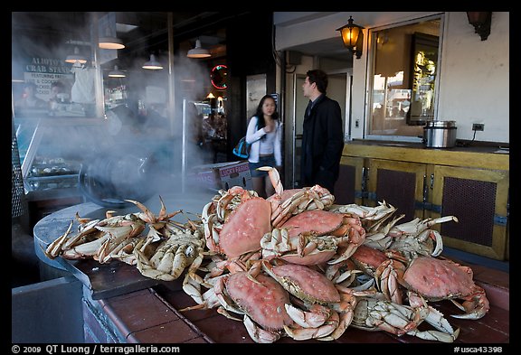 Crabs ready to be cooked, Fishermans wharf. San Francisco, California, USA (color)