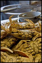 Close-up of crabs, Fishermans wharf. San Francisco, California, USA (color)