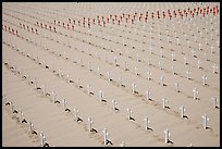 Sea of white and red crosses on Santa Monica beach. Santa Monica, Los Angeles, California, USA