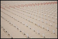 Sea of white and red crosses on Santa Monica beach. Santa Monica, Los Angeles, California, USA (color)